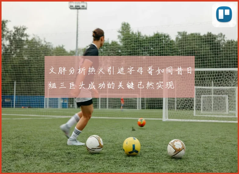 文胖分析热火引进字母哥如同昔日组三巨头成功的关键已然实现