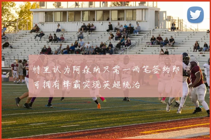 特里认为阿森纳只需一两笔签约即可拥有锋霸实现英超统治